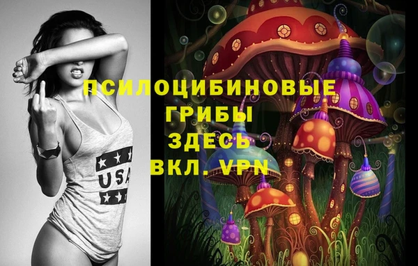 бошки Абинск