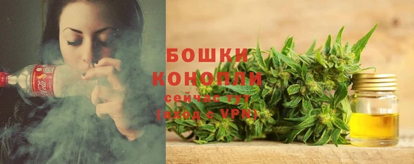 spice Новозыбков