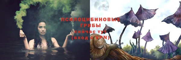 бошки Абинск