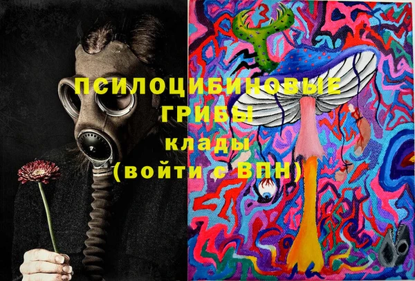 mdpv Алзамай