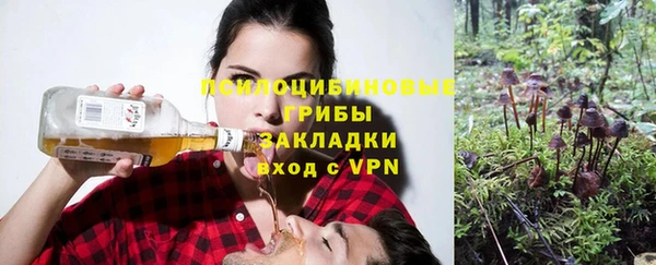 spice Абдулино