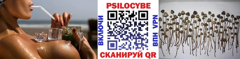 Галлюциногенные грибы MAGIC MUSHROOMS закладка Шахунья